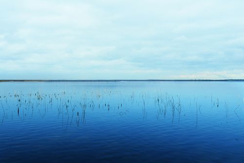 Ansicht der schwimmenden PV-Anlage vom Standort Teichland, Foto: LEAG